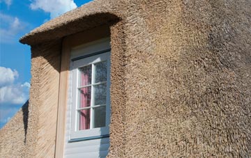 Sopley thatch roof disadvantages